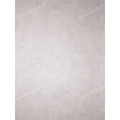 Английские обои Osborne & Little, коллекция Komodo, артикул W6303-05