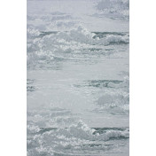 Английские обои Osborne & Little, коллекция Pasha, артикул W6756-03