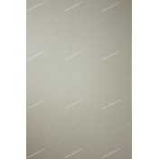 Английские обои Osborne & Little, коллекция Persian Garden, артикул W6491-04