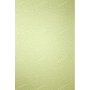 Английские обои Osborne & Little, коллекция Persian Garden, артикул W6491-05