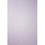 Английские обои Osborne & Little, коллекция Persian Garden, артикул W6491-07