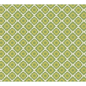 Английские обои Paint & Paper Library, коллекция Botany, артикул 0360QUCHELS