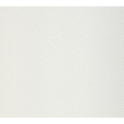 Английские обои Paint & Paper Library, коллекция Botany, артикул 0360SESTEEL