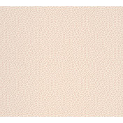 Английские обои Paint & Paper Library, коллекция Botany, артикул 0360SETEMPL