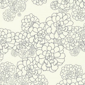 Английские обои Paint & Paper Library, коллекция Tresco, артикул Aeonium Clean White