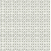 Американские обои Paper & Ink, коллекция Natural Silhouettes, артикул NS51208