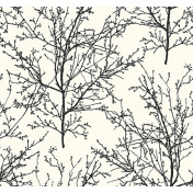 Американские обои Paper & Ink, коллекция Black And White, артикул BW22400