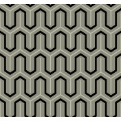 Американские обои Paper & Ink, коллекция Black And White, артикул BW22811
