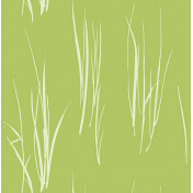 Американские обои Paper & Ink, коллекция Coastal Chic, артикул CO10804