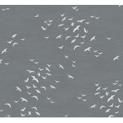 Американские обои Paper & Ink, коллекция Navy, Grey & White, артикул BL70408