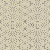 Итальянские обои Parato, коллекция Cristiana Masi (Amazzonia), артикул 22050