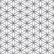 Итальянские обои Parato, коллекция Cristiana Masi (Amazzonia), артикул 22051