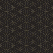 Итальянские обои Parato, коллекция Cristiana Masi (Amazzonia), артикул 22054