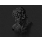 Панно PatternRoll, коллекция Collection I, артикул ID29.17