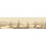 Американские обои Paul Montgomery Studio, коллекция Endur Collection (Mural Sources), артикул E-PN-880-AZ-SK/Sepia