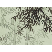 Американские обои Paul Montgomery Studio, коллекция Murals For Unique Walls, артикул Bamboo Forest/Green
