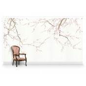 Американские обои Paul Montgomery Studio, коллекция Murals For Unique Walls, артикул Cherry Blossoms White/White
