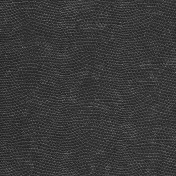 Американские обои Phillip Jeffries, коллекция Contract Vinyl, артикул 8079