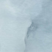 Американские обои Phillip Jeffries, коллекция Gallery, артикул 7061