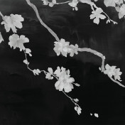 Панно Phillip Jeffries, коллекция Haiku & Sakka, артикул 9018