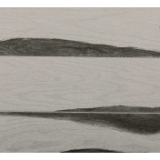 Американские обои Phillip Jeffries, коллекция Performance Vinyl, артикул 7876