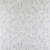 Американские обои Phillip Jeffries, коллекция Prints, артикул 6041