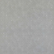 Американские обои Phillip Jeffries, коллекция Prints, артикул 6047