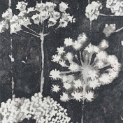 Американские обои Phillip Jeffries, коллекция Specialty, артикул 6106