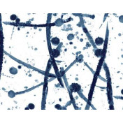 Французские обои Pierre Frey, коллекция Graminees 3, артикул FP446002