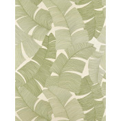 Французские обои Pierre Frey, коллекция Iles Enchantees, артикул FP975003