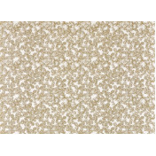 Французские обои Pierre Frey, коллекция Jardins Secrets, артикул FP099001