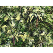 Французские обои Pierre Frey, коллекция Les Dessins 2, артикул FP436002