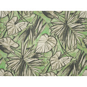 Французские обои Pierre Frey, коллекция Les Dessins 5, артикул FP842002