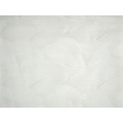 Французские обои Pierre Frey, коллекция Les Dessins 6, артикул FP962001