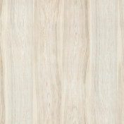 Французские обои Pierre Frey, коллекция Natecru, артикул FP653002