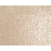 Французские обои Pierre Frey, коллекция Racines, артикул FP359001