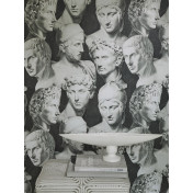 Французские обои Pierre Frey, коллекция The Cult Of Beauty, артикул FP799002