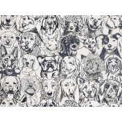 Французские обои Pierre Frey, коллекция The Cult Of Beauty, артикул FP804001