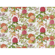 Французские обои Pierre Frey, коллекция Veranda, артикул FP757001