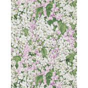 Французские обои Pierre Frey, коллекция Veranda, артикул FP767002