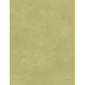 Английские обои Prestigious Textiles, коллекция Fusion, артикул 1922-651