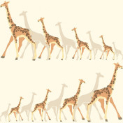 Итальянские обои Prospero, коллекция Baby & Kids, артикул DW2361