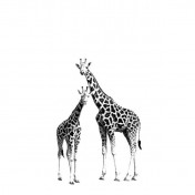 Панно Prospero, коллекция Everybody Bonjour, артикул 137-158701