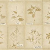 Американские обои Ralph Lauren, коллекция Serengeti Textures, артикул LWP65013W