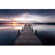 Панно Rebel Walls, коллекция No 1 Panorama, артикул R10161