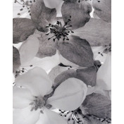 Панно Rebel Walls, коллекция No 1 Panorama, артикул R11212