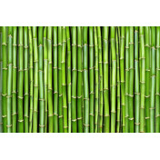 Панно Rebel Walls, коллекция No 1 Panorama, артикул R11821