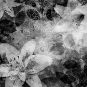 Панно Rebel Walls, коллекция No 1 Panorama, артикул R12062