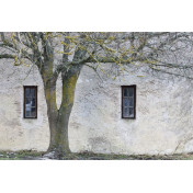 Шведские обои Rebel Walls, коллекция No 13 Scandinavia, артикул R13631