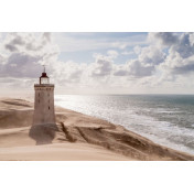 Шведские обои Rebel Walls, коллекция No 13 Scandinavia, артикул R16311